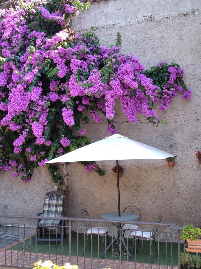Il Giardino Di Laura Leilighet Toscolano Maderno Eksteriør bilde